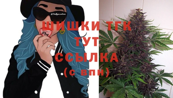бошки Касимов