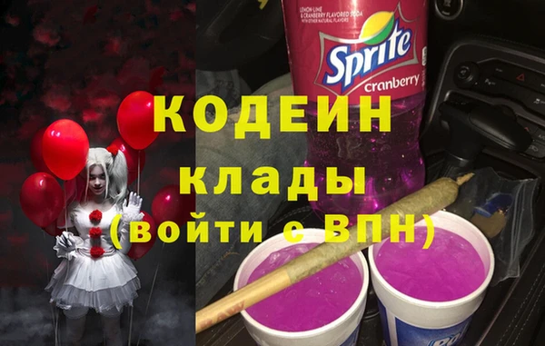 стаф Каменногорск