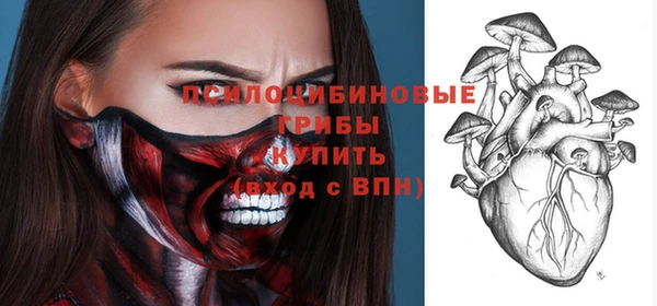 бошки Касимов
