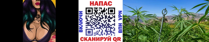 Каннабис LSD WEED  Купить  Сарапул 
